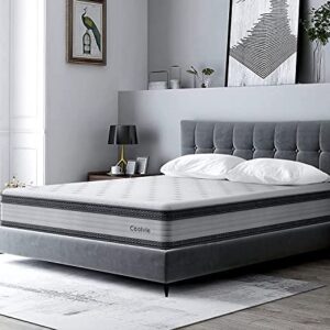 Coolvie Queen Mattress, 10 Inch Comfy Cool Memory Foam and Innerspring Hybrid Mattress, with Individually Pocket Coils, Cushioning Euro Top and Breathable Hypoallergenic Knitted Cover