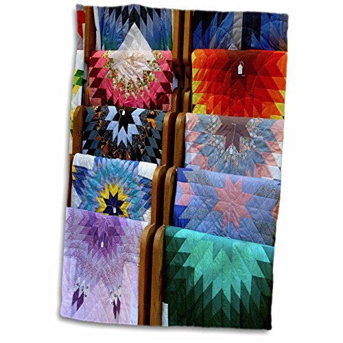 3D Rose Sd-Prairie Edge Trading Co-Native American-Us42 Cmi0125-Cindy Miller Hopkins Hand/Sports Towel, 15 x 22