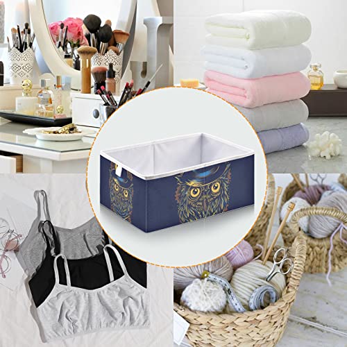 Steampunk Owl Storage Baskets for Shelves Foldable Collapsible Storage Box Bins with Cube Closet Organizers for Pantry Toys, Clothes, Books in Closet and Shelf,16 x 11inch