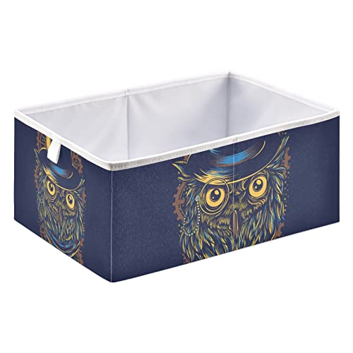 Steampunk Owl Storage Baskets for Shelves Foldable Collapsible Storage Box Bins with Cube Closet Organizers for Pantry Toys, Clothes, Books in Closet and Shelf,16 x 11inch