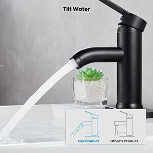 Matte Black Stainless Steel 304 Bathroom Faucet Farmhouse Single Handle Lavatory Basin Vanity Sink Faucet with Supply Line