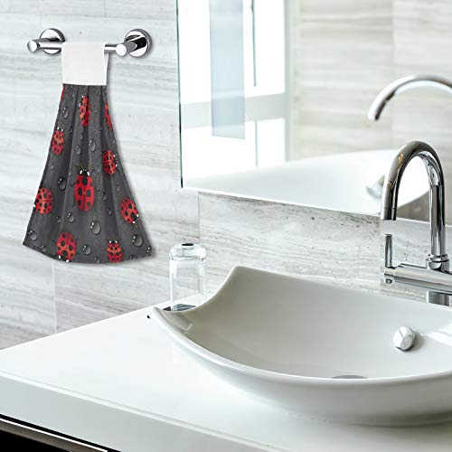 Blueangle Set of 2 Red Ladybugs Hanging Tie Towels Kitchen Hand Towel Absorbent Soft Coral Velvet Dish Wipe Cloth for Kitchen Bathroom