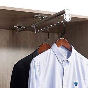 Pull Out Clothes Rail Adjustable 25-46cm Wardrobe Rail Extendable Metal Clothes Hanger Space-Saving Clothes Rack (Size : 25cm/9.8inch)