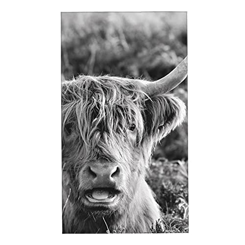 Hand Towel Highland Cows Moorland Face Washcloths Fingertip Bath Towels 27.5 X 15.7 Inch Microfiber Quick Dry Soft Absorbent Luxury Kitchen Dish Cloth for Bathroom Beach Gym Hotel Salon Spa Sport