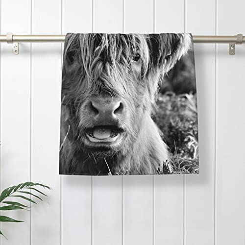 Hand Towel Highland Cows Moorland Face Washcloths Fingertip Bath Towels 27.5 X 15.7 Inch Microfiber Quick Dry Soft Absorbent Luxury Kitchen Dish Cloth for Bathroom Beach Gym Hotel Salon Spa Sport