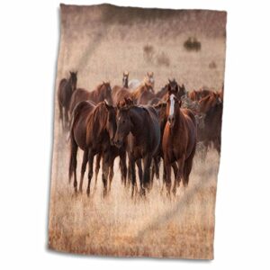 3d rose herd of horses in dry grasses of new mexico hand towel, 15" x 22"