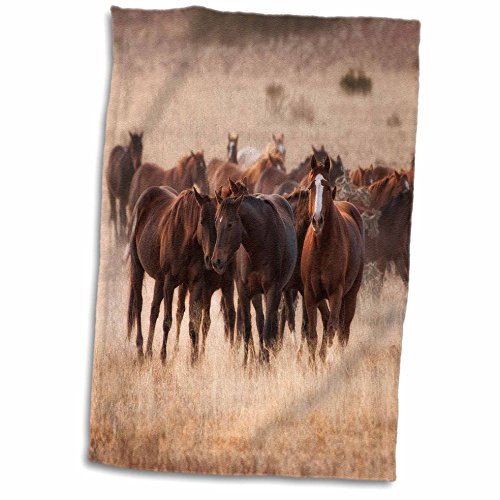 3D Rose Herd of Horses in Dry Grasses of New Mexico Hand Towel, 15" x 22"