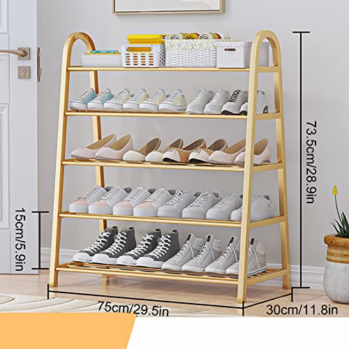 Free Standing 5-Tier Shoe Rack for Closet 15-20 Pairs Metal Shoe Organizer Easy Assembly Shoe Boxes Sturdy Shoe Shelf for Entryway, Garage, Bedroom, Cloakroom (Color : Black+Silver, Size : 29.5 x 11