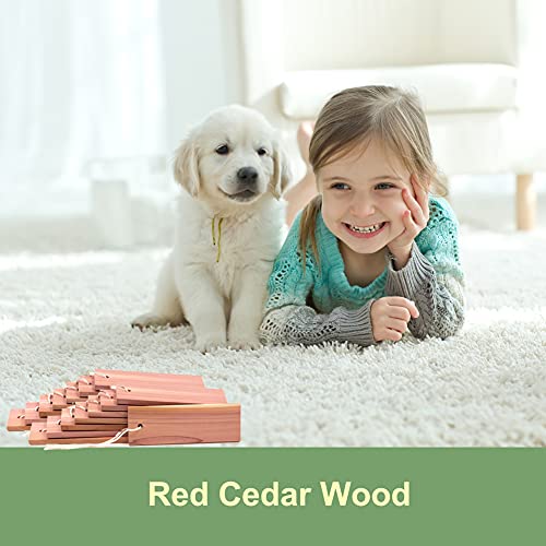 Brite Lightingtech Cedar Blocks for Clothes Storage, Red Cedar Planks and Cedar Cubes for Closets and Drawers Total 26PC