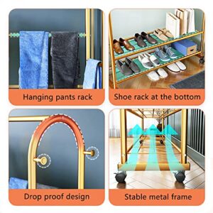 DSIOHFEI Metal Garment Rack Clothing Hanging Rack Free Standing Clothing Hanger with Top Rod,Lower Storage Shelves for Home Bedroom Laundry (Golden)