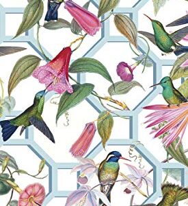 Caspari Disposable Hand Towels, Decorative Paper Guest Towels for Bathroom or Paper Napkins Dinner Napkins Size Hummingbird Trellis Pak 30