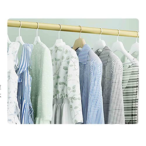 Floor Clothes Rack with Oval Base,Freestanding Hanger,Gold,for Hanging Clothes,Standard Rod Simple,51.2” and 59.1”(Size:80x150cm)