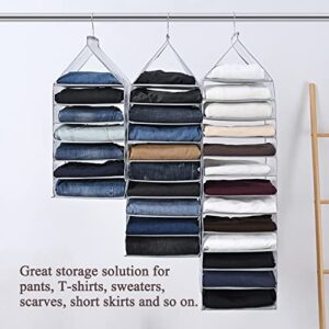 TEGOOL Hanging Closet Organizer, Tier Shelf for Folded Pants Clothes,with Sturdy Hooks Closet Organizers and Storage Bins for Jeans, Trousers,Sweater (9-Shelf)