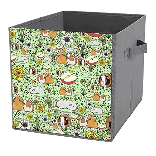 Nudquio Wild Guinea Pig Folding Storage Bins with Handles 10.6 Inch Collapsible Fabric Cubes Organizer Boxes Apply to Drawers Home Closet Shelf