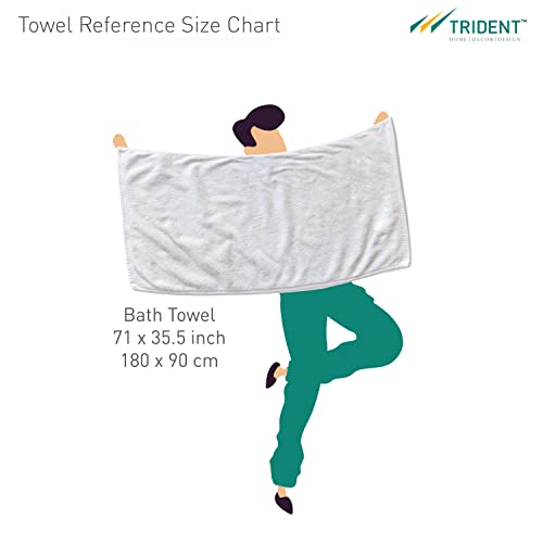 TRIDENT NectorSoft, Extra Large, 100% Cotton, Zero Twist, Towels, Super Soft, Extra Absorbent (Purple Ash, Bath Sheet (2-Piece))