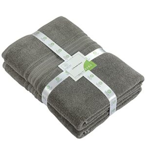 SIMPLY LOFTY Luxury Bath Sheet Towels 35x70 Inch (2 Pack) Premium Extra Large Thick Bath Sheets Oversized Bath Towels Highly Absorbent Quick Dry Jumbo Bath Sheet Towel Hotel Quality (Grey)