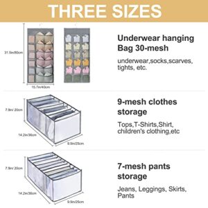 HENYNET Multi-size Wardrobe Clothes Organizer,Oxford Double-sided Underwear Panties Sock Hanging Bag,Foldable Jeans Shirt Skirts Compartment Box,for Clothing Storage,Gray