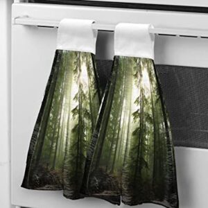 Kitchen Towels with Hanging Loop 2 Pack, Green Forest Sunrise Soft Absorbent Hand Towels for Bathroom Bar Home Decor Nature Tree Dish Towels Reusable Washable Cleaning Cloth