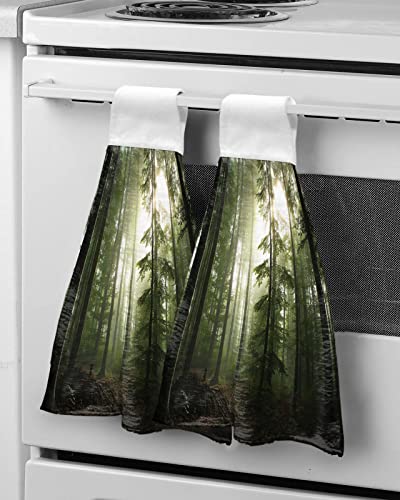 Kitchen Towels with Hanging Loop 2 Pack, Green Forest Sunrise Soft Absorbent Hand Towels for Bathroom Bar Home Decor Nature Tree Dish Towels Reusable Washable Cleaning Cloth