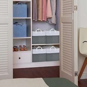 GRANNY SAYS Bundle of 4-Pack Storage Baskets for Organizing & 1-Pack Hanging Closet Organizer