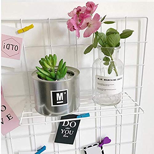 LIOOBO Grid Wall Shelves, Wire Straight Shelf with Hooks, Hanging Shelf for Wall Grid Panel, Wall Organizer for Home Supplies, 10 L x 4 D, White