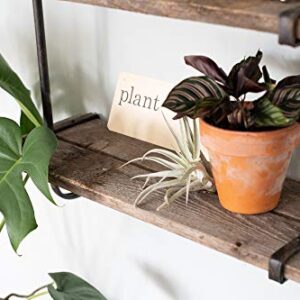 BarnwoodUSA Rustic Wooden Shelf with 2 Planks, Farmhouse Wall Ledge, Natural Weathered Gray