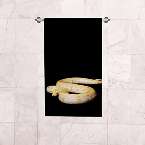 Patteraless Snake Dish Towel 2PC Hand Towels for Bathroom 15" x 30" Absorbent Soft for Hand, Face, Kitchen, Hotel, Spa, Gym, Swim
