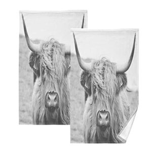 highland cow towels 2 piece cotton hand towels, highly absorbent towels for bathroom, hotel, gym and spa 28 x 16 inches