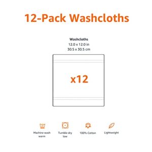 Amazon Basics Dual Performance Washcloths - 12-Pack,Cotton, True Blue