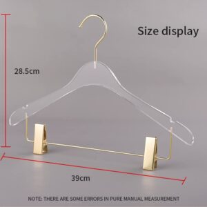 Nisorpa Acrylic Hangers with Clips, 10 Pack Clear Plastic Hangers Non-Slip with Golden Chrome Steel Hook, Clothes Hangers Space Saving Hanger for Dresses Suit Jacket Sweater Blouse