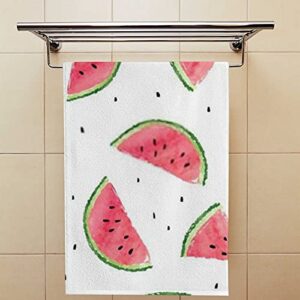 Hand Towels Face Terry Towel Washcloth Couple Bathroom Set of 2 Towels Set Watermelons Kitchen Decor Soft Quick Dry Super Absorbent 30 X 15 inch