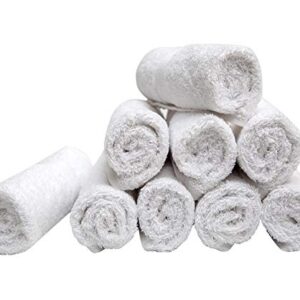 Pleasant Home Washcloths Set - 24 Pack (12” x 12”) – 570 GSM- 100% Ring Spun Cotton Wash Cloth - Super Soft and Highly Absorbent Face Towels (White)