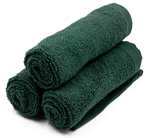 Linteum Textile 12 Piece Face Towel Set, 12x12 Inch, 100% Soft Cotton 16 Single Ring Spun Premium Washcloths Absorbent Durable Luxurious Face Towel (Hunter Green)