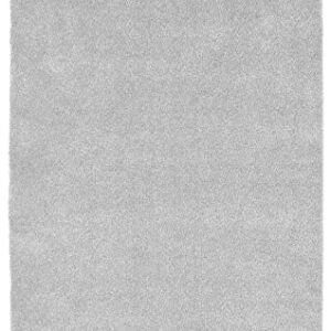 Garland Rug Carpet Bath Rug, 5-Feet by 8-Feet, Platinum Gray