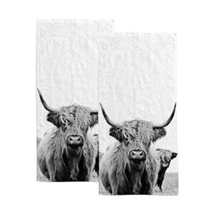 vantaso scottish highland cow fingertip hand towels 2 pcs set absorbent bath face towels soft hair drying cloth for bathroom kitchen gym spa quick dry, 30"x15"