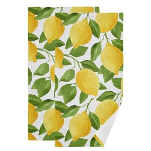aiyooler hand towels for bathroom set of 2 bright yellow watercolor citrus lemons and green leaves soft absorbent small bath towels decorative kitchen guest dish towel cloth for gym,spa,hotel 28x14in