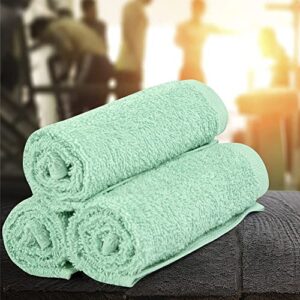 SIMPLY LOFTY Cotton Washcloths 12” x 12” (12 Pack) Premium Fingertip Towels Highly Absorbent Facial Towels for Bathroom 100% Ring Spun Cotton Wash Cloth Set (Aqua Mint)