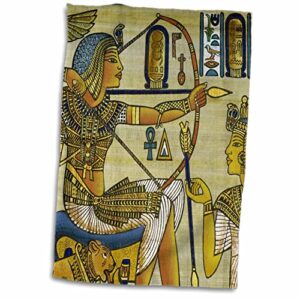 3drose egypt, hand painted papyrus hunting scene-af14 cmi0753 - cindy miller. - towels (twl-71648-1)