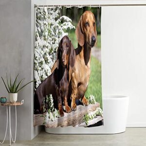 krisin shower curtain for bathroom, dachshund pattern, curtain liner resistant resistant washable bathroom curtains, waterproof, 12 hooks bathroom accessories