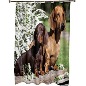 KRISIN Shower Curtain for Bathroom, Dachshund Pattern, Curtain Liner Resistant Resistant Washable Bathroom Curtains, Waterproof, 12 Hooks Bathroom Accessories