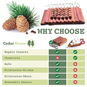 Cedar Hyde Cedar Blocks for Clothes Storage | Cedar Hang Ups & Cedar Balls | Clothes Protection & Deodorizer | 22 Pieces, 12 Cedar Hang Ups & Bonus 10 Cedar Balls | U.S.A Seller