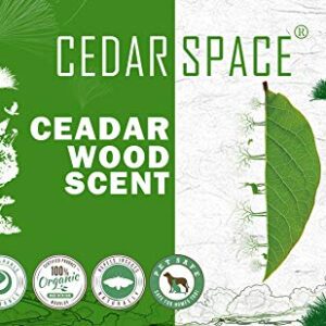 Cedar Space Cedar Blocks for Clothes Storage, 100% Aromatic Red Ceder Blocks, Cedar Planks, Cedar Accessories for Closets Storage, 72 Pcs