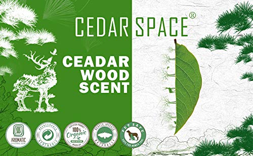 Cedar Space Cedar Blocks for Clothes Storage, 100% Aromatic Red Ceder Blocks, Cedar Planks, Cedar Accessories for Closets Storage, 72 Pcs