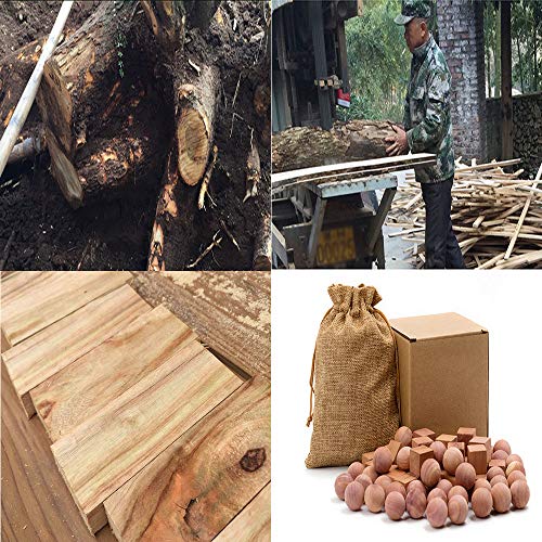 TooGet Natural Camphor Ball Fresh Cinnamomum Camphora Root for Clothes Storage, Closets & Drawers - 30 Balls & 6 Bags