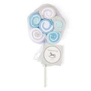 tendertyme blue and grey lollipop washcloth bundle 12 pieces