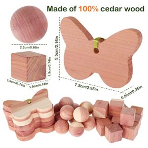 Safe Cedarwood Balls Closet Deodorizer for Clothes Protection Cedar Wood Blocks Clothes Freshener Natrual Cedar Wood Discs & Cedar Rings for Drawers Wardrobe 29pcs(29pcs)