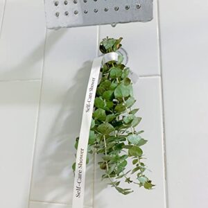 self care shower eucalyptus fresh usa [hanger included] 10" mini bunch live & natural for shower in bathroom leaves greenery stems lavender shower plant, fragrance, decor