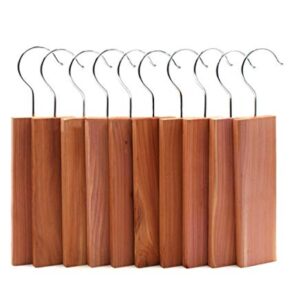 FunSpt 10 Pcs Cedar Blocks with Fragrance Odor 100% Nature Aromatic Red Ceder Blocks Cedar Planks