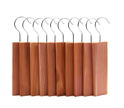 FunSpt 10 Pcs Cedar Blocks with Fragrance Odor 100% Nature Aromatic Red Ceder Blocks Cedar Planks