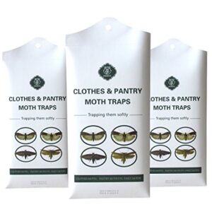 Moth Traps with Two pheromones for All Clothes Moths Kitchen Moths and Pantry Moths 6 Traps